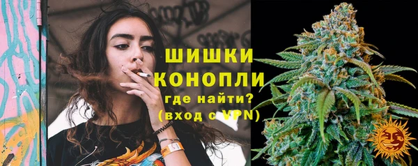 Альфа ПВП Медногорск
