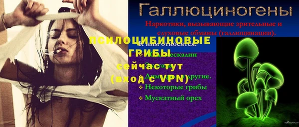 СК Магадан