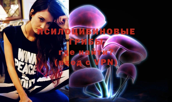 спайс Медвежьегорск
