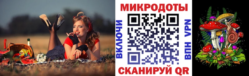 Псилоцибиновые грибы Cubensis  где продают наркотики  Новосиль 